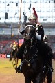 Cavalry - 00219